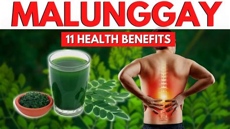 olifer malunggay capsule benefits|Dahon ng Malunggay: Heto ang Benepisyo ng .